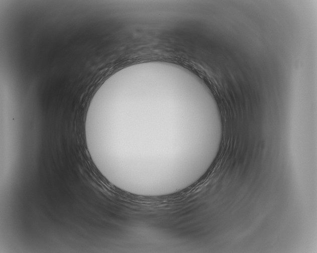 X0000114601444200910191044