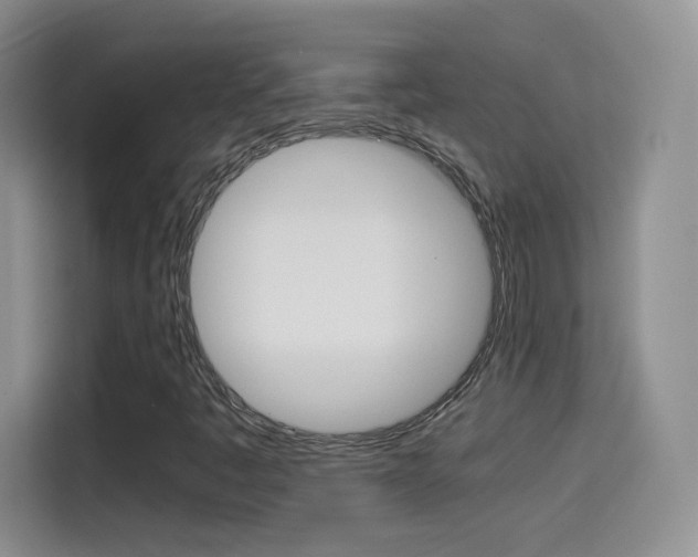 X0000114601445200910191044