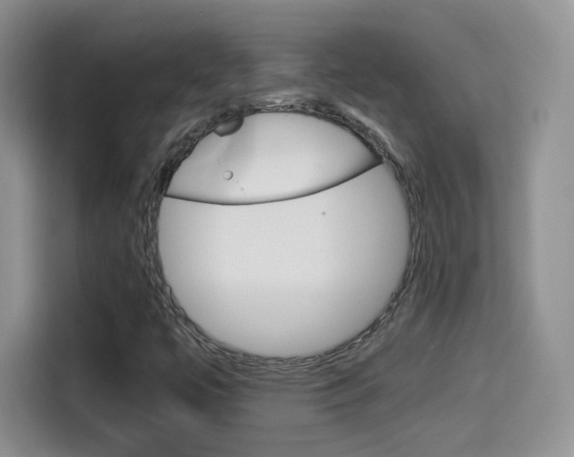 X0000114601447200910191044