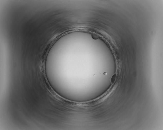 X0000114601449200910191044