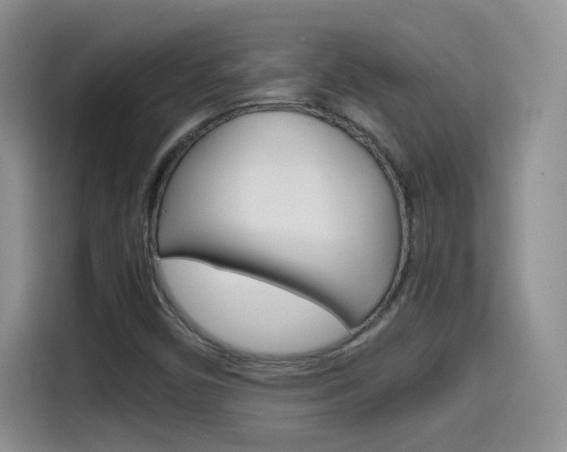 X0000114601450200910191044