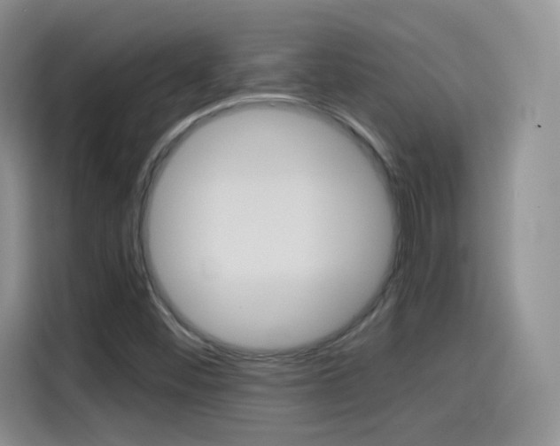 X0000114601452200910191044