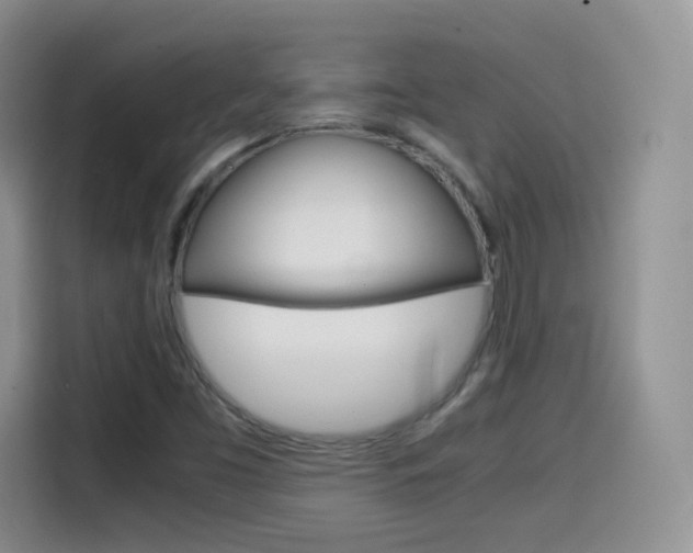 X0000114601453200910191044