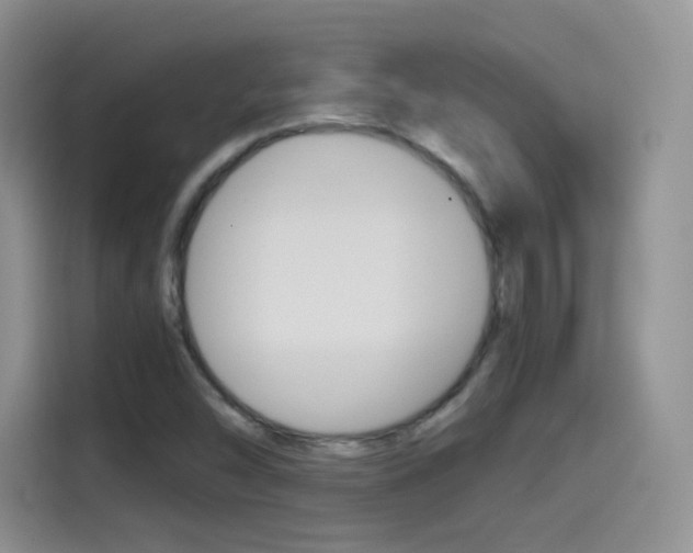 X0000114601454200910191044