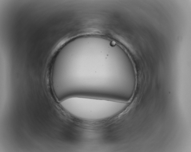 X0000114601455200910191044