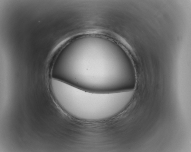 X0000114601456200910191044