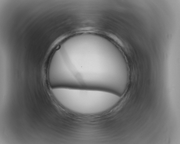 X0000114601458200910191044