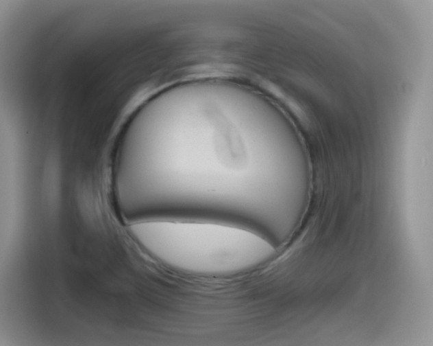 X0000114601459200910191044