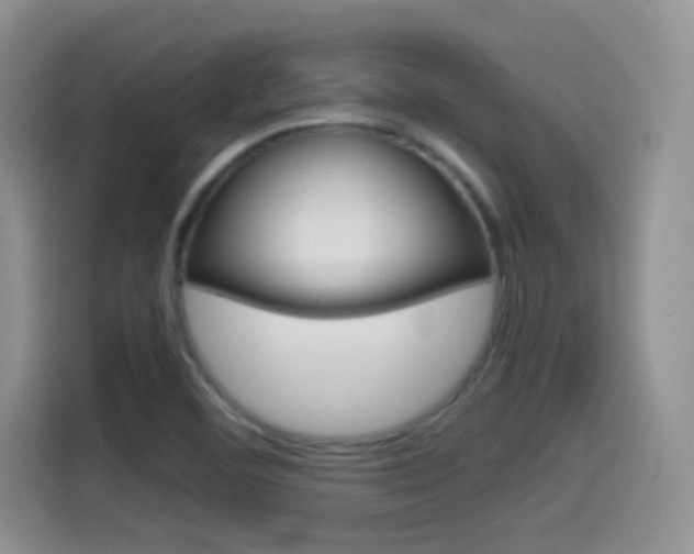 X0000114601460200910191044