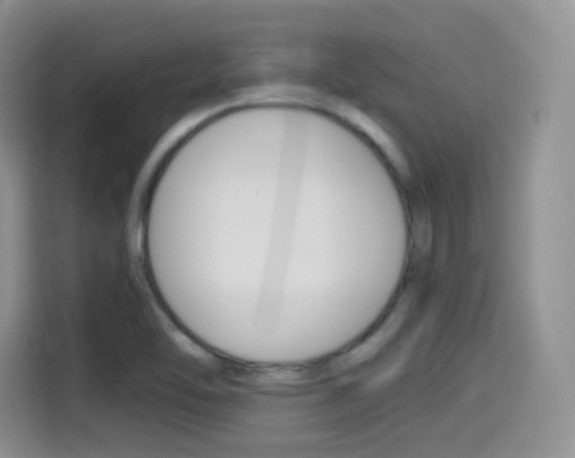 X0000114601462200910191044