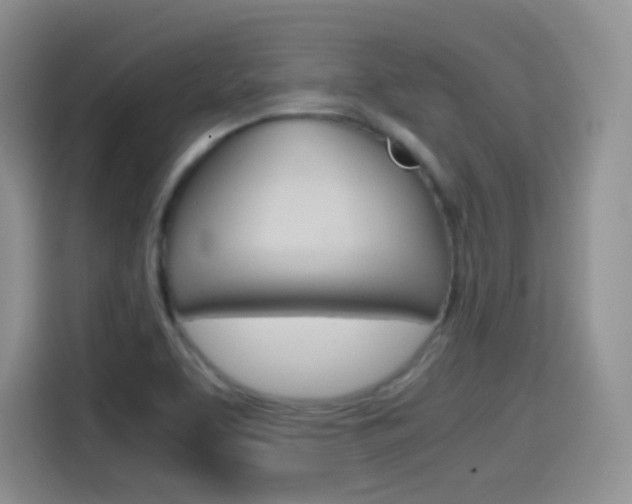 X0000114601463200910191044