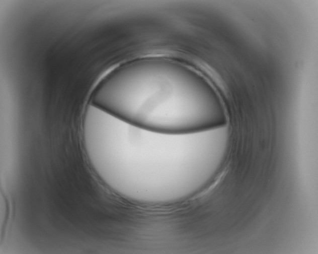 X0000114601465200910191044