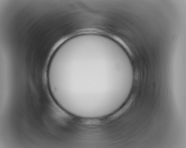 X0000114601466200910191044