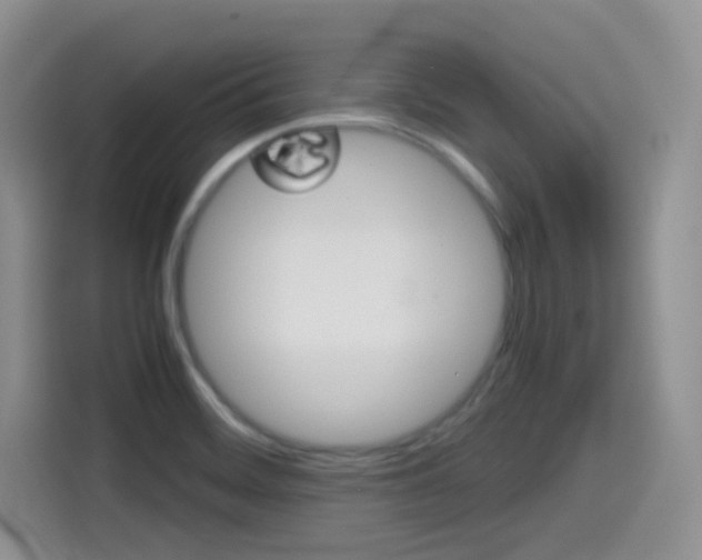 X0000114601468200910191044