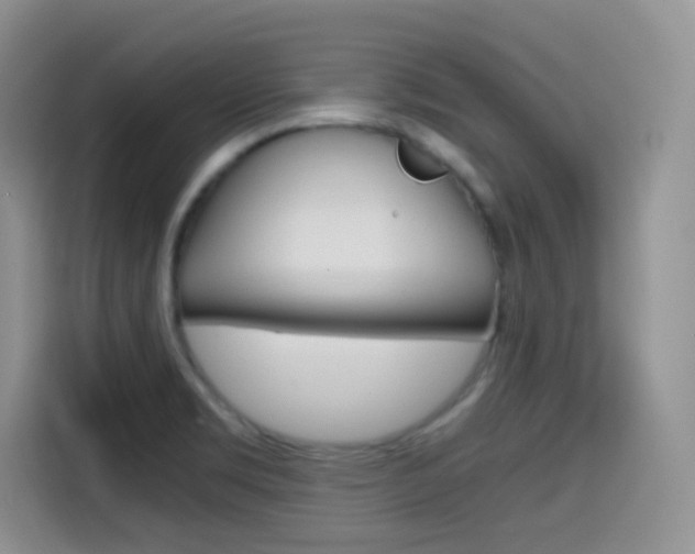X0000114601469200910191044