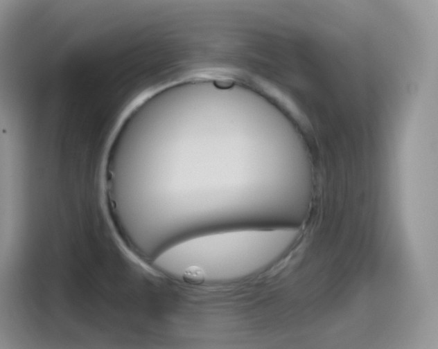 X0000114601471200910191044