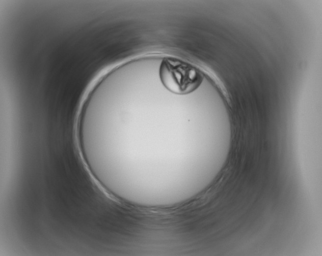 X0000114601472200910191044