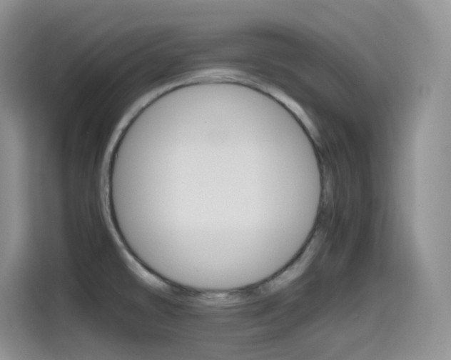 X0000114601478200910191044