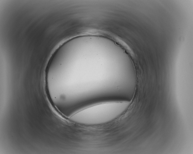 X0000114601479200910191044