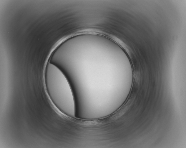 X0000114601482200910191044