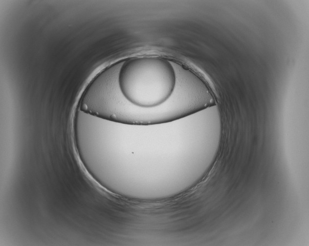 X0000114601483200910191044