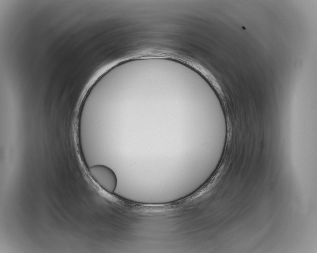 X0000114601486200910191044