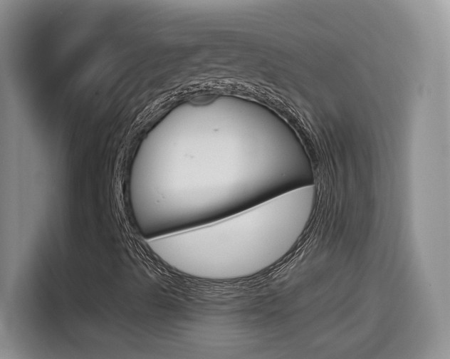 X0000114601489200910191043