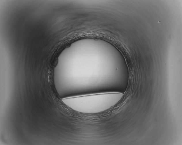 X0000114601490200910191043