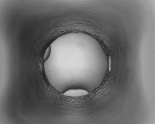 X0000114601491200910191043