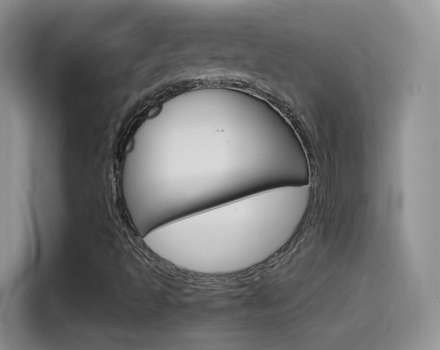 X0000114601493200910191043