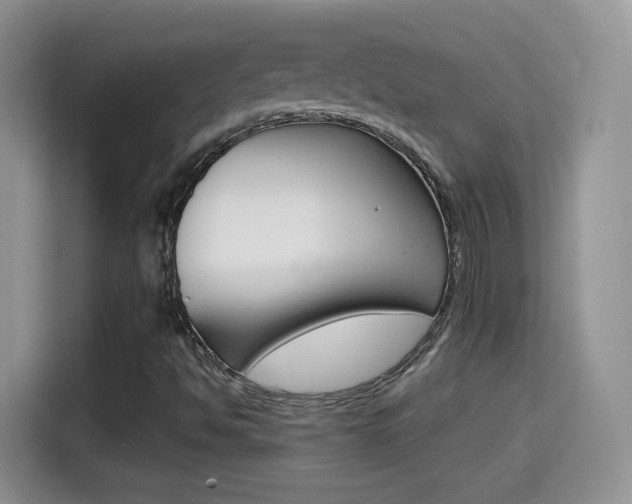 X0000114601494200910191043