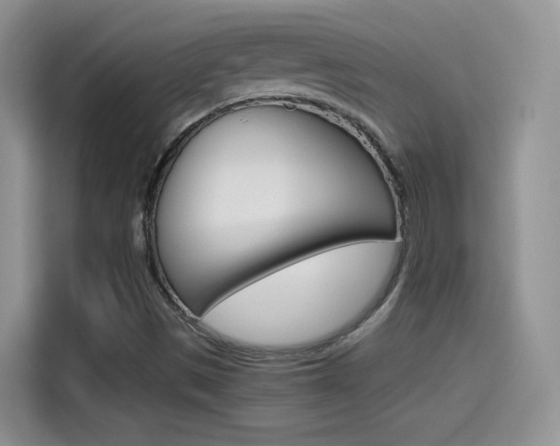X0000114601497200910191043