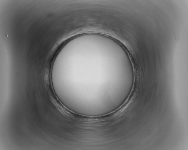 X0000114601499200910191043