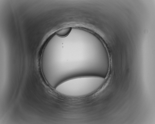 X0000114601501200910191043