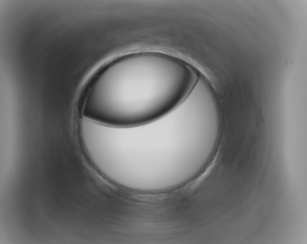 X0000114601502200910191043