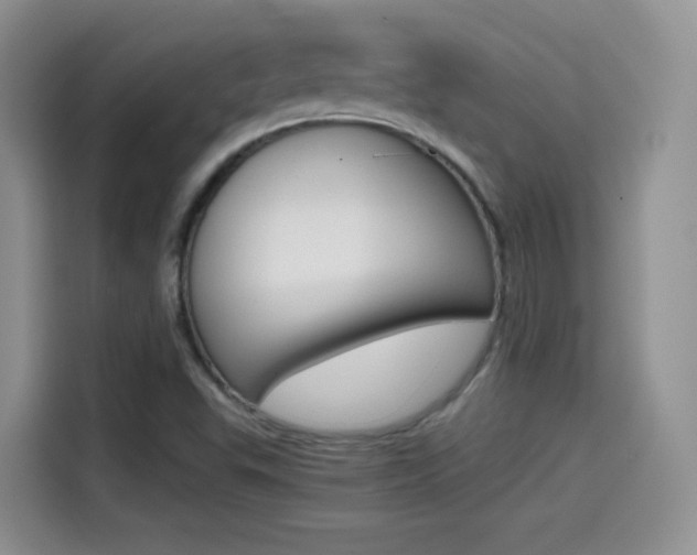 X0000114601503200910191043