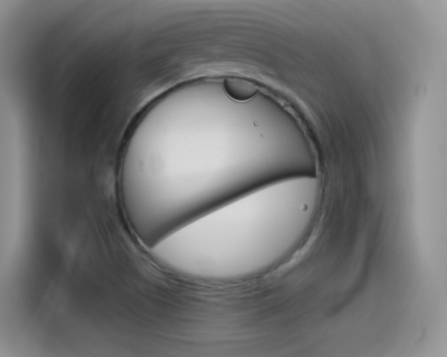 X0000114601505200910191043