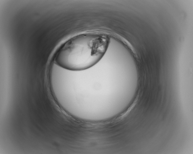 X0000114601506200910191043