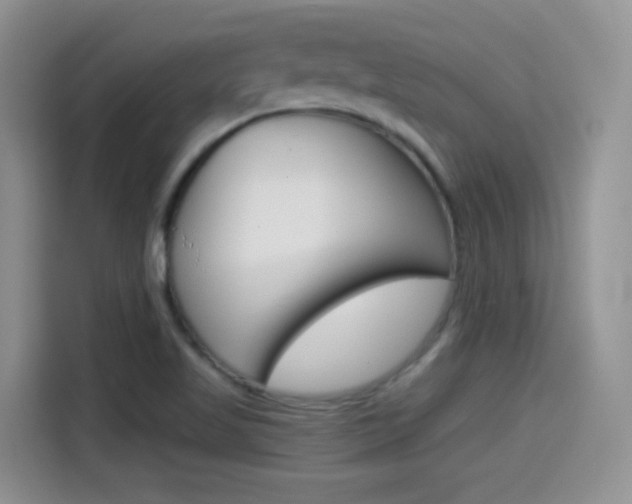 X0000114601509200910191044