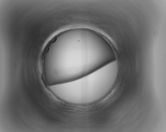 X0000114601510200910191044