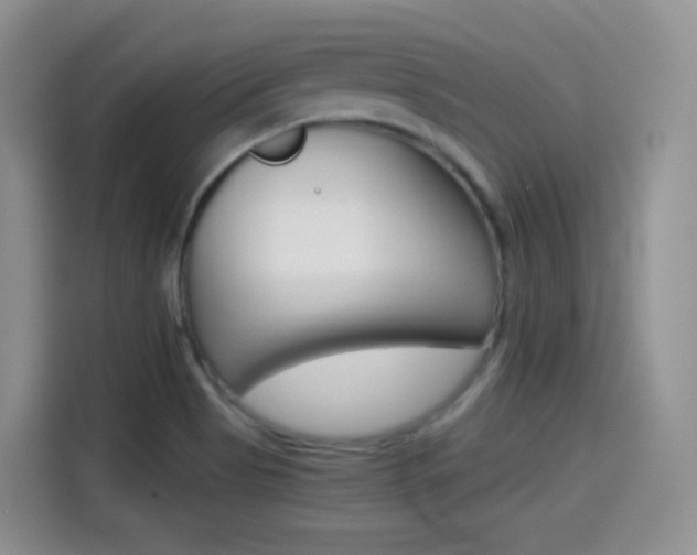 X0000114601513200910191044