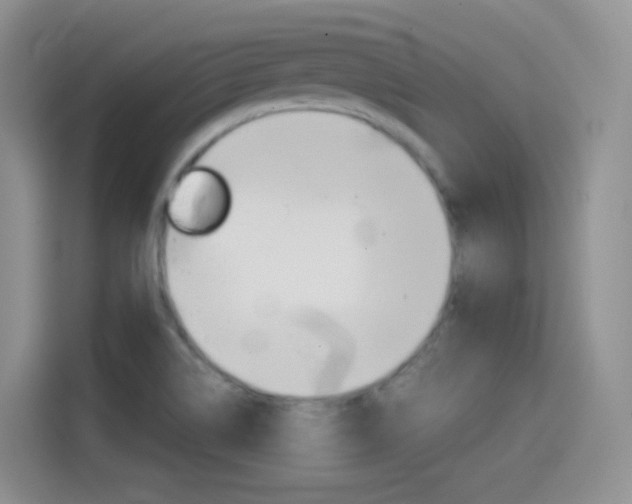 X0000114601514200910191044