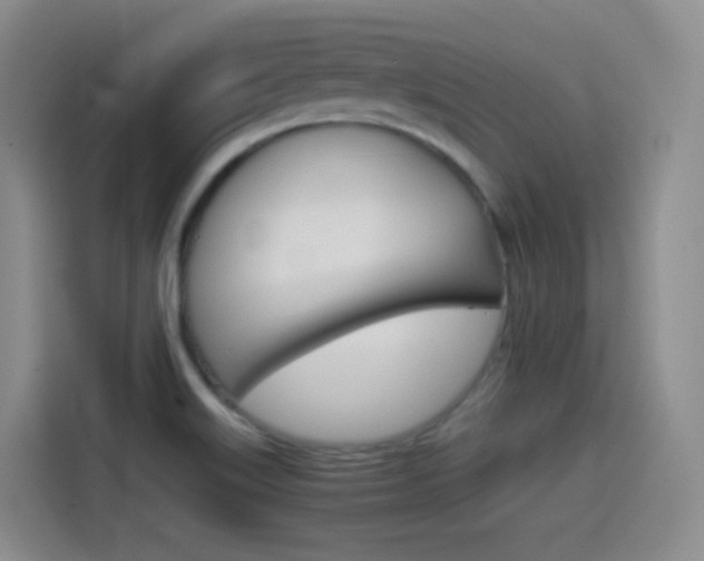 X0000114601515200910191044