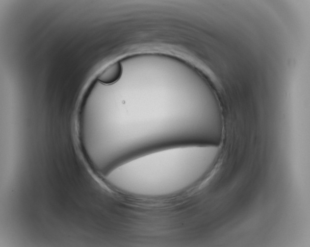 X0000114601517200910191044