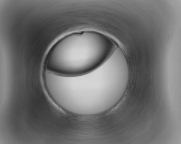 X0000114601518200910191044