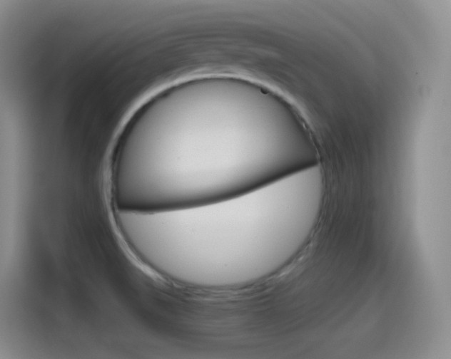 X0000114601519200910191044