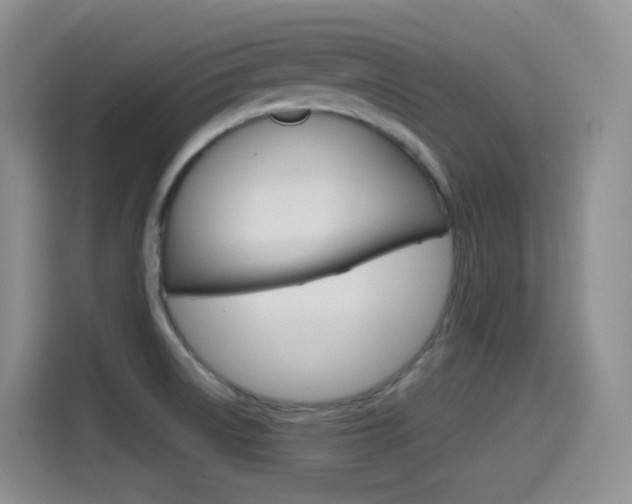 X0000114601522200910191044
