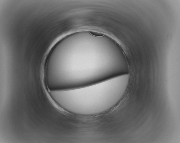 X0000114601523200910191044