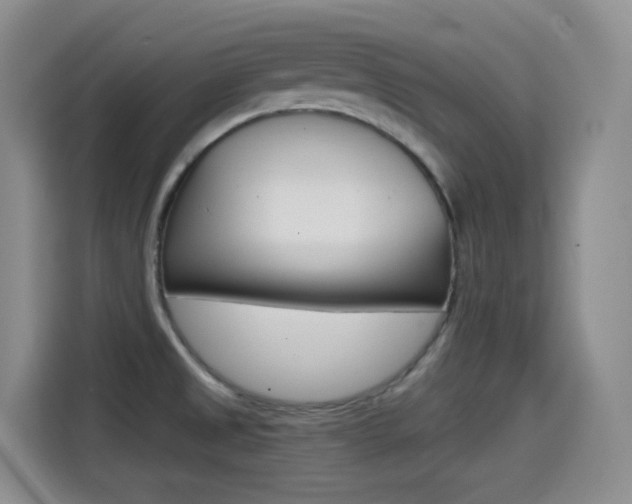 X0000114601525200910191044