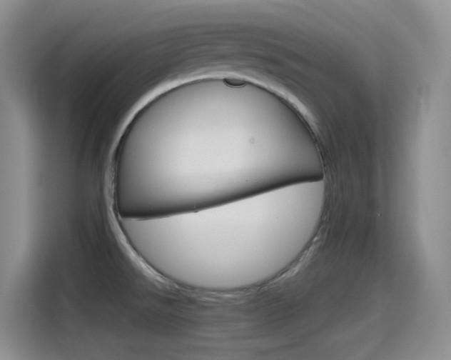 X0000114601526200910191044